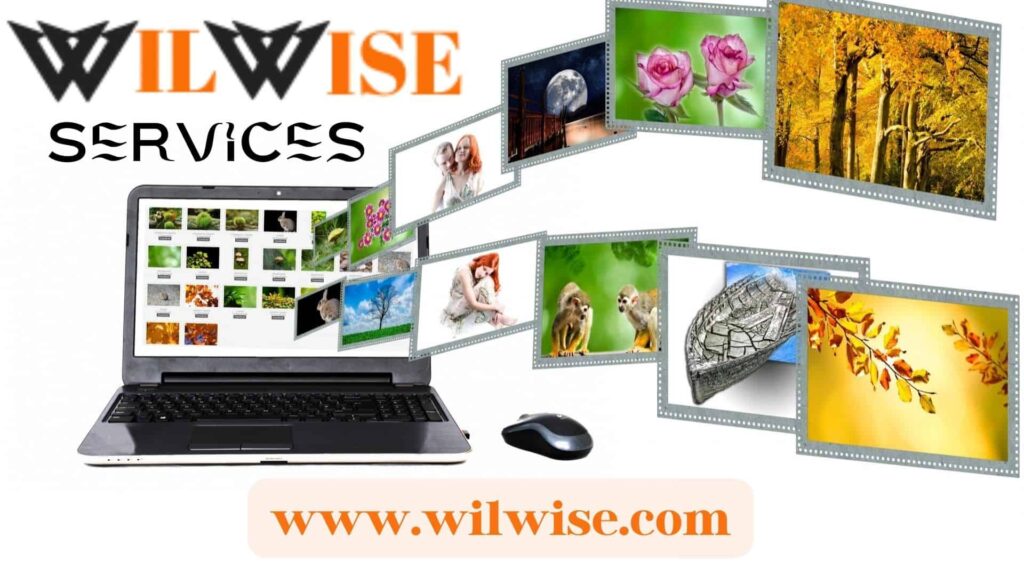 Wilwise Services